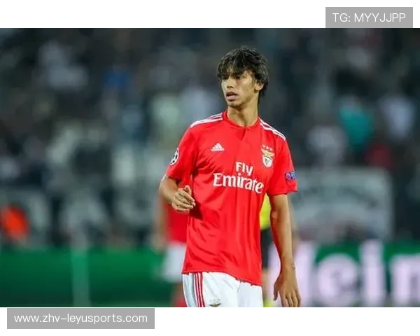 本菲卡携手欧洲合作伙伴，共筑全球商业新格局